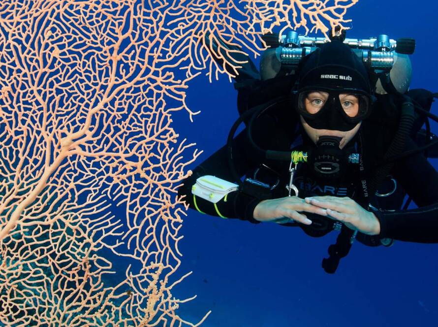 RAID TWINSET DOUBLES