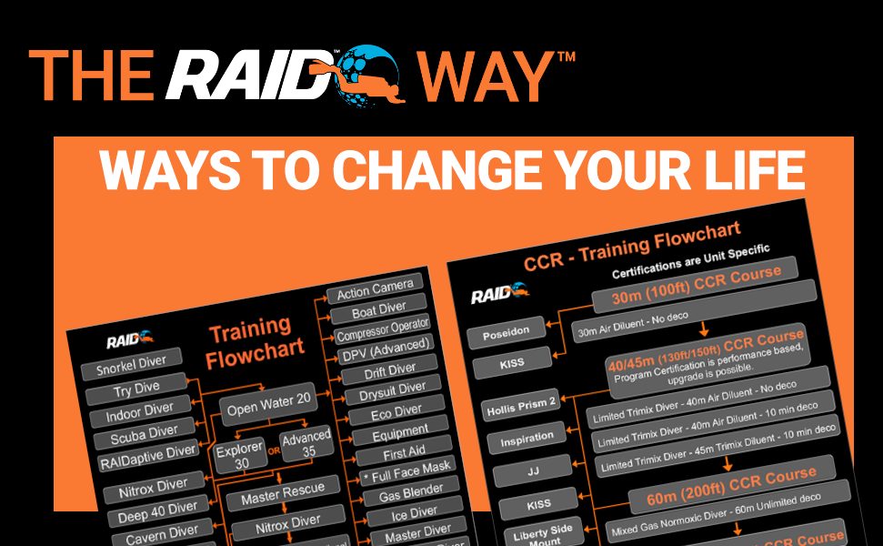 1001 ways to change your life with RAID